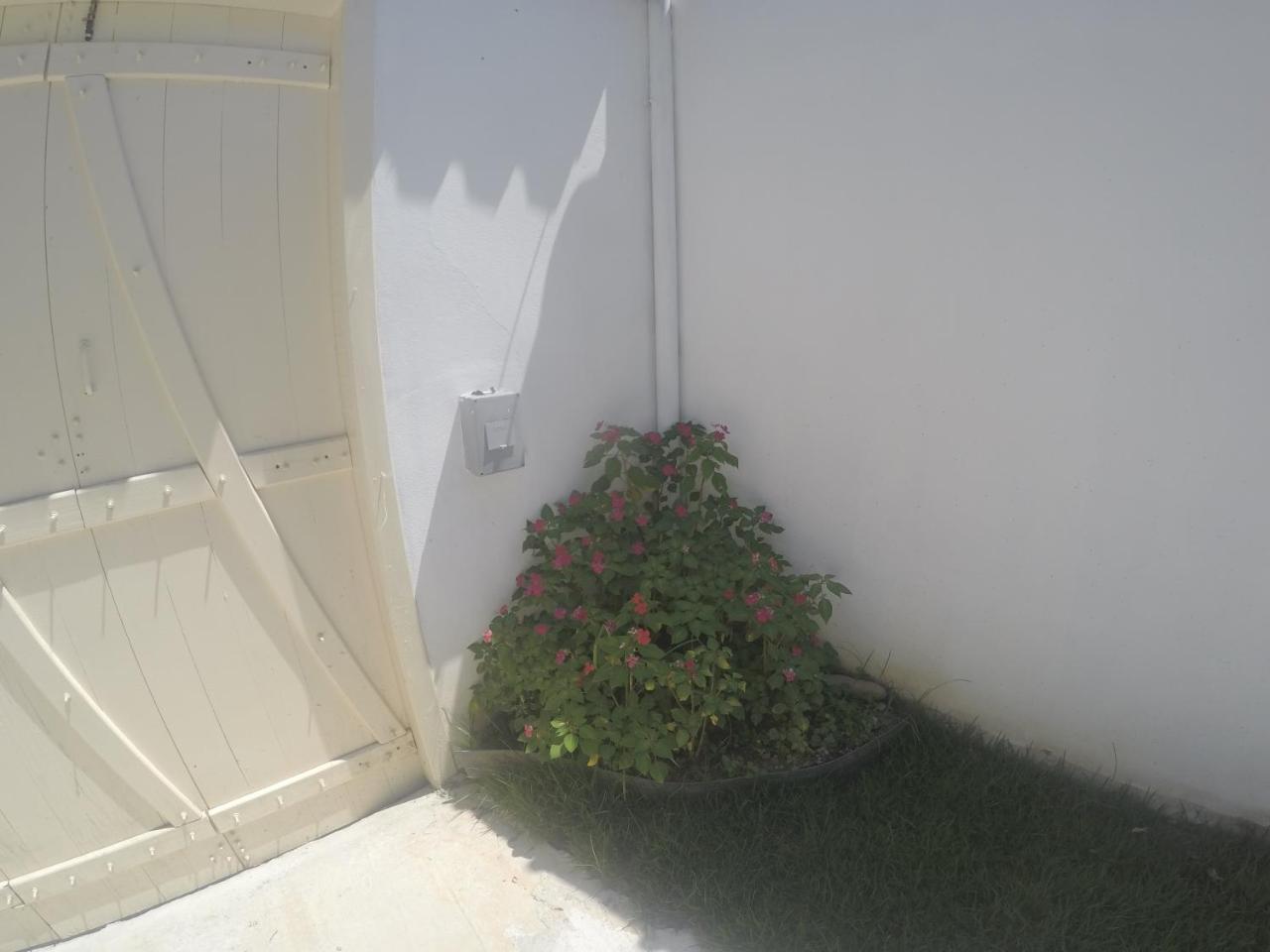 Villa Residencial Flor De Ipe Araquari Exterior foto